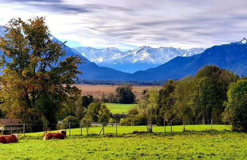 Ammergauer Vier Jahreszeiten - Foto 22
