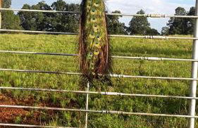 Cozy Cabin with Spa and Picnic Space in Marshall, Arkansas - Foto 5