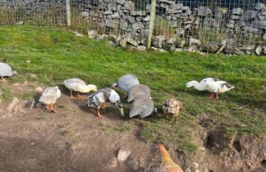 The Vogue Lodge - Photo 24