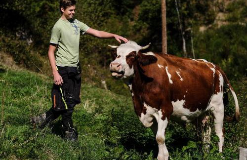 Ferienhof Giedensbach - Photo 21