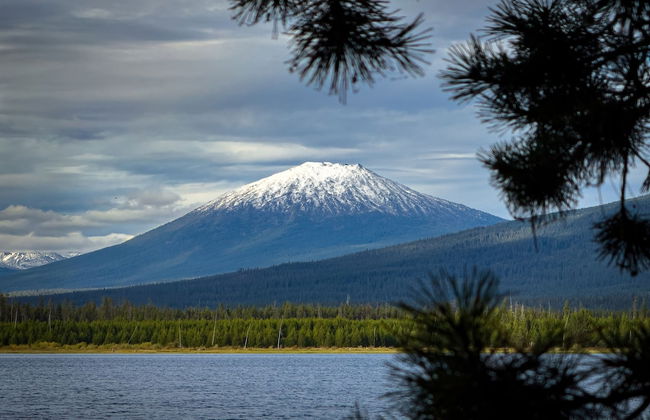 Red Alder Lane 1 - Foto 42