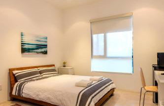 Luxury suite with private entrance - Foto 12