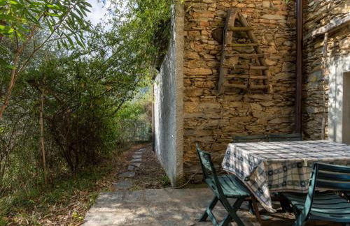 Apartment Frantoio by Interhome - Foto 21