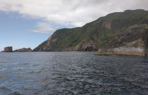 Alojamento Local M&I - Foto 44