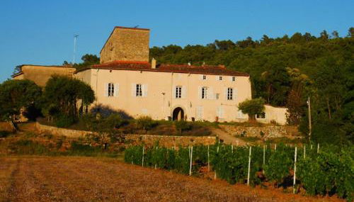 Bel appartement domaine viticole - Foto 2