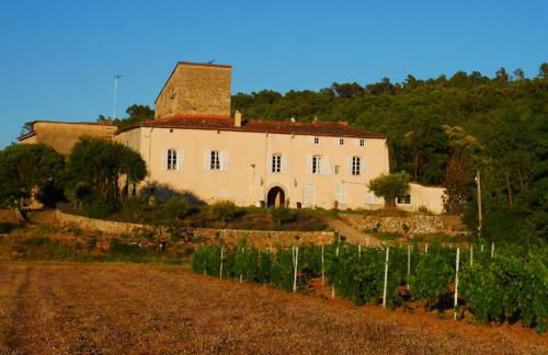 Bel appartement domaine viticole - Foto 9