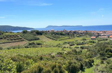 Sea Pearl - Photo 22