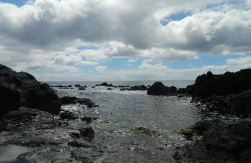 Adega Ninho da Cagarra - Photo 40