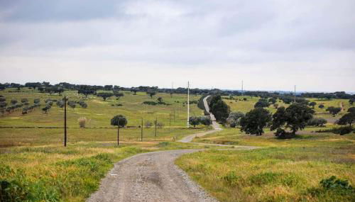 Casas Velhas - Casa da Taipa - Foto 4