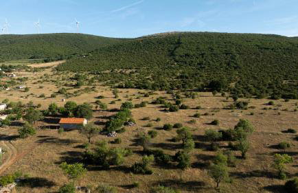 Hedonica house - Foto 9