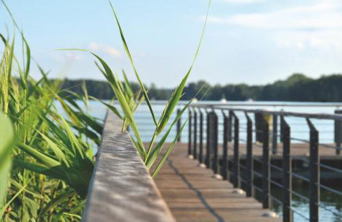 K14 FeWo - Am Kurpark - Therme - Foto 56