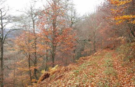 Apartamento Fuente De Somave - Foto 20