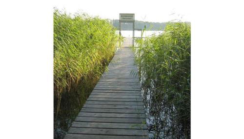 Carol's Country-House - Foto 5, Other