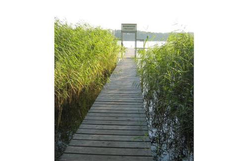 Carol's Country-House - Photo 5