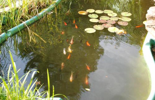 VillaRenoma - Photo 14