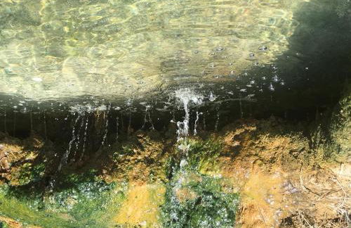 Agriturismo Fontenuova - Foto 78