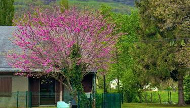 La Suite Unique - Le jardin sur les Pyrénées- vue panoramique montagne -jardin clôturé privé de 100m2-Parking-Linge de lit et serviettes compris- - Foto 5, Garden