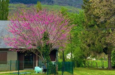 La Suite Unique - Le jardin sur les Pyrénées- vue panoramique montagne -jardin clôturé privé de 100m2-Parking-Linge de lit et serviettes compris- - Foto 5