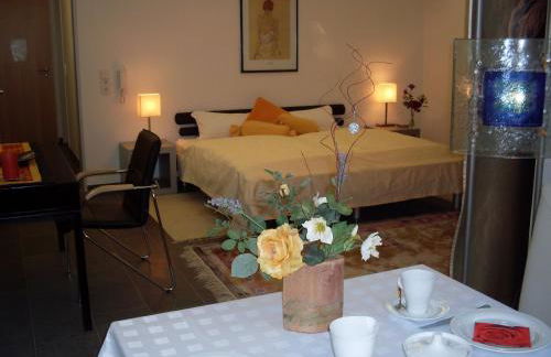 Studio Deluxe - Foto 6