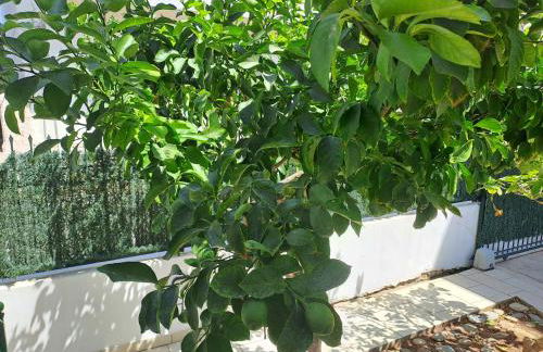 Vicky's place,near Athens airport - Foto 40