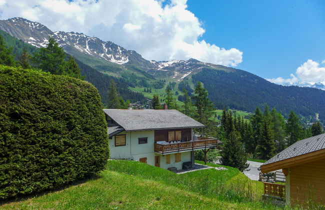 Orchidée 111 - Foto 12