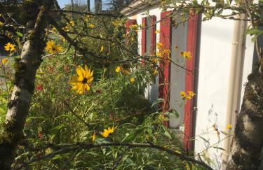 Paloma Blanca - Photo 6