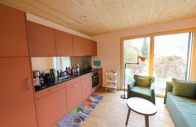 Rinderberg Sockelgeschoss Nordost - Foto 8