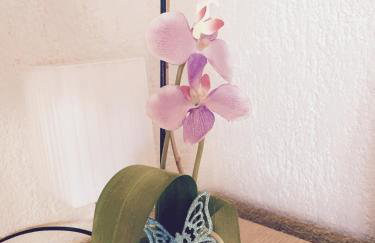 4 Roses Apartment - Photo 25