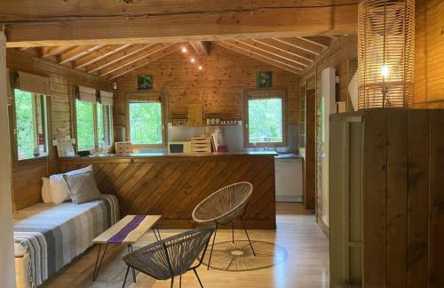 Lodge en pleine foret domaniale - Foto 7