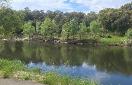 El Antiguo Corral de Sevilla - Foto 18