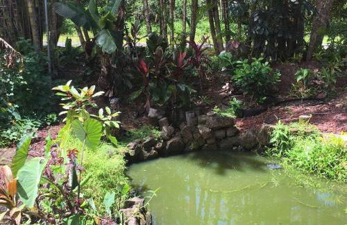 The Red Cottage and Hawaiian Pond Garden Paradise! - Foto 20