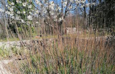 Robinson's house - Foto 24