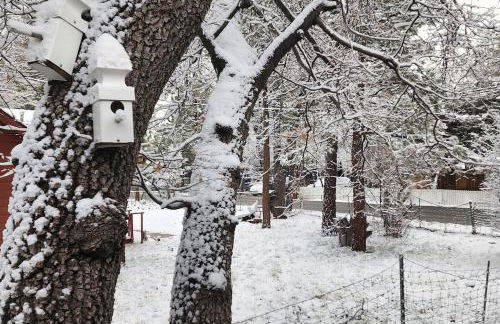 Bear Escapes II Affordable Luxury Cabin - Foto 35