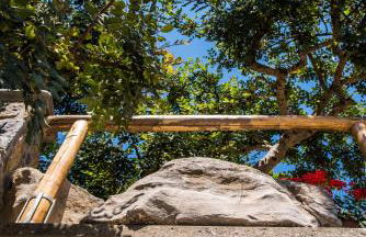 Le Contrade by Sosòre Holiday Homes -Amalfi Coast - Foto 68