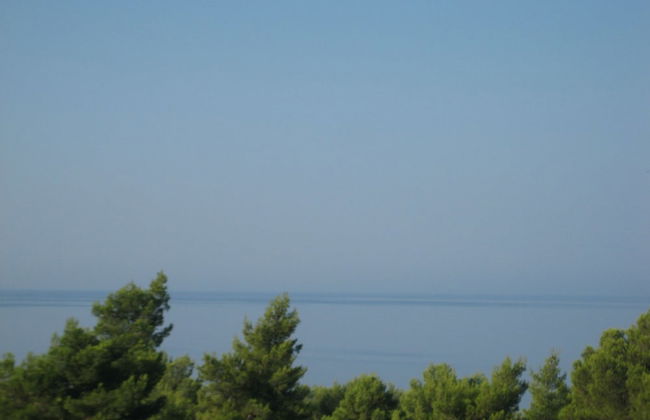 Seapine Studios - Foto 10