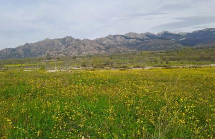 Apartamentos Cuerda Larga - Foto 20