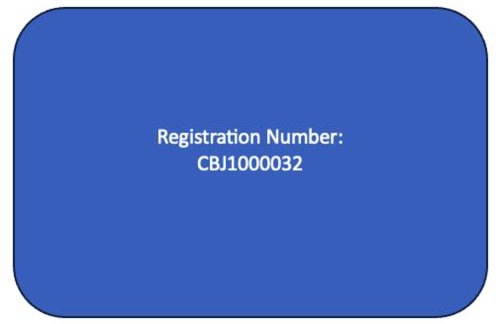 Glacier Valley Rocks - Near Trails and the Mendenhall Glacier - Foto 19