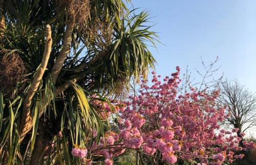 Bell Lodge - Foto 46