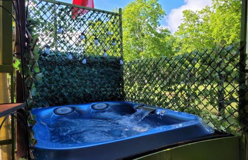 Péniche Amboise Maison d'Hôtes Flottante Toulouse Centre - Foto 61