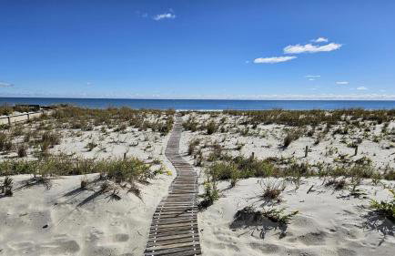 Single Family Ocean Front Wifi Washer & Dryer Rooftop Deck Master Suite With Fireplace Large Brant Beach Ocean Front Home Withmagnificent Views - Foto 3