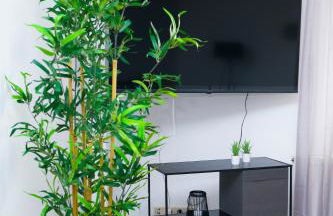 Landliebe Nummer 10 - Foto 9