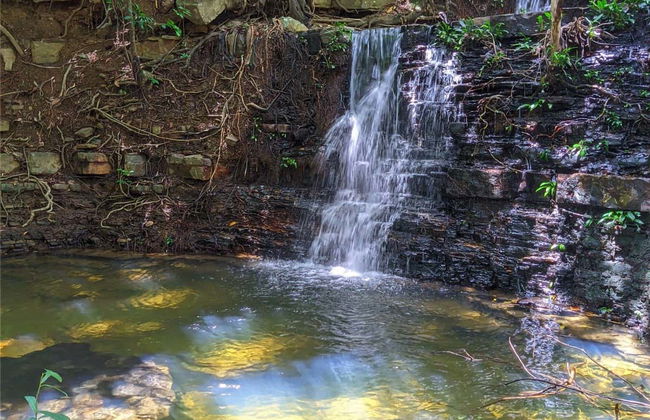 Excursión a Pedro II - Foto 3