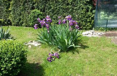 Pod Klonem - Foto 15