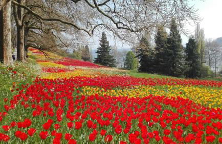 Ferienwohnung Bodensee Fisch - Foto 31