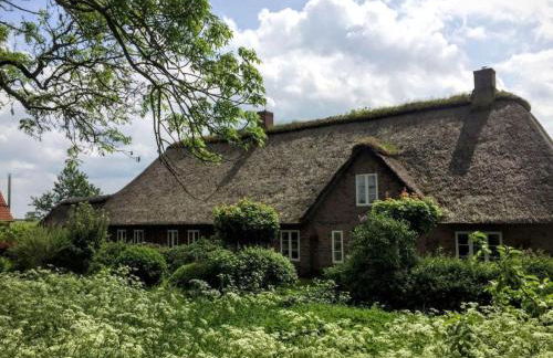 Marie Carla - Foto 1