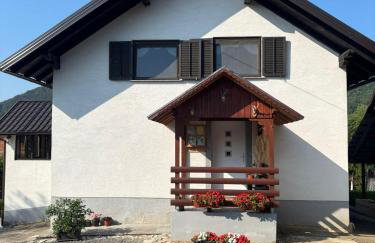 Apartment Jelena - Foto 3