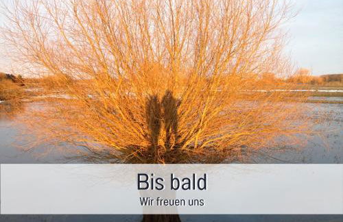 elbe511ferienzuhause im parkähnlichen Garten mit Teich - Foto 46