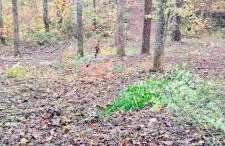 North Star Retreats - Foto 46