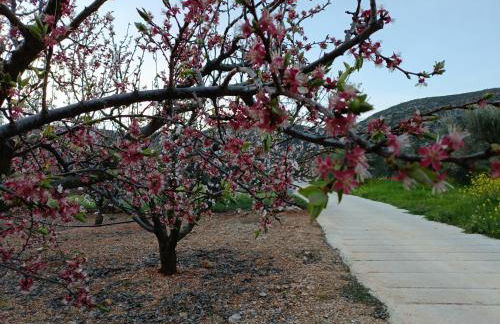 Elaia Rest House Retreat in nature - Foto 31