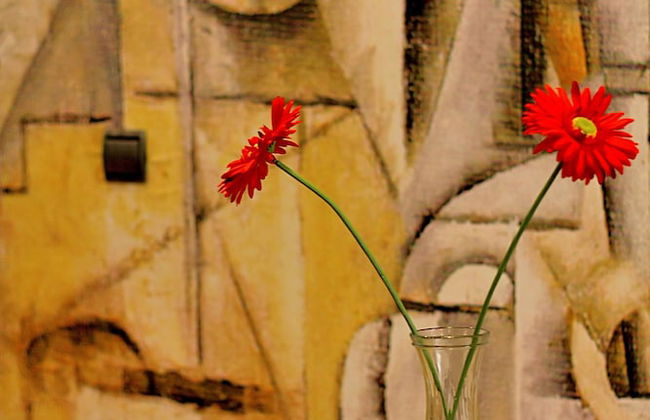 Apartamentos Suites Oficentro Deluxe - Foto 42